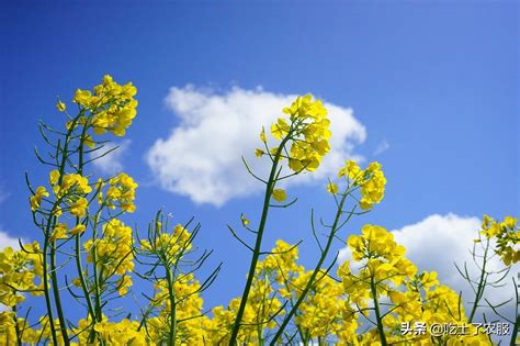 7月是什么季节